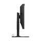 EIZO Monitor ColorEdge CG319X 31.1" Svart