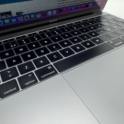 Lagring: 256 GB SSD, snabb och pålitlig lagring som förbättrar den totala systemresponsen.
